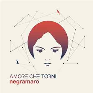 Negramaro - Amore Che Torni flac