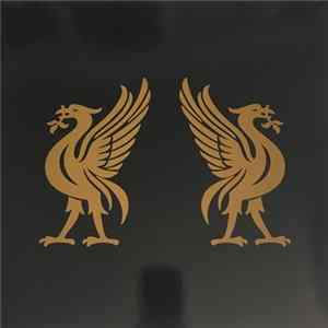 Joey Cape & Jon Snodgrass - Liverbirds flac