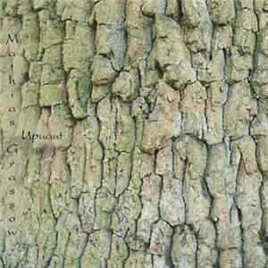 Mathias Grassow - Upuaut flac