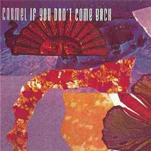 Carmel - If You Don't Come Back flac