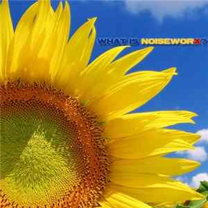 Various - What Is NoiseworX? flac