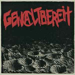GEWALTBEREIT - Gewaltbereit flac