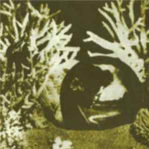 DJ Lo Fi - 2001 Exotica flac