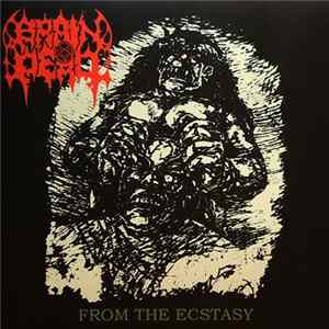 Brain Dead - From The Ecstasy flac