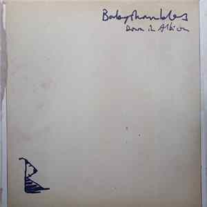 Babyshambles - Down In Albion flac