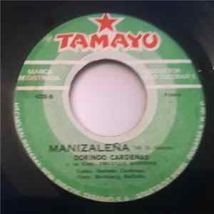 Dorindo Cárdenas Y Su Conjunto Orgullo Santeño - Si Tu Te Vas / Manizaleña flac