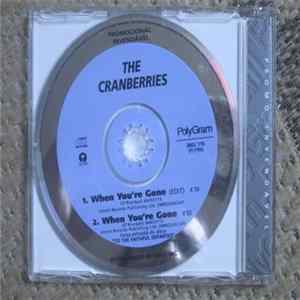 The Cranberries - When You're Gone flac