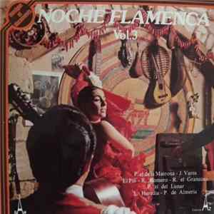Various - Noche Flamenca Vol. 3 flac