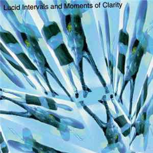 Mike Batio, Rob Ross - Lucid Intervals And Moments Of Clarity flac