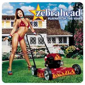 Zebrahead - Playmate Of The Year flac