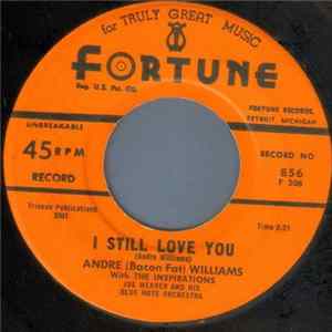 Andre Williams - Jailhouse Blues / I Still Love You flac