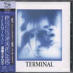 遠藤ミチロウ - Terminal flac