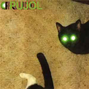Pujol - Mayday flac