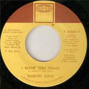 Marvin Gaye - I Want You (Vocal) flac