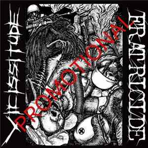 Vicissitude - Fratricide Promo flac