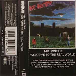 Mr. Mister - Welcome To The Real World flac