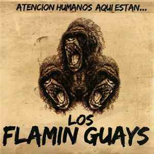 Los Flamin Guays - Atención Humanos Aquí Están... flac