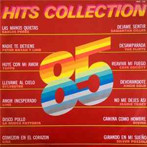 Various - Hits Collection 85 flac