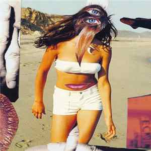 Satanicpornocultshop & Various - Untitled flac
