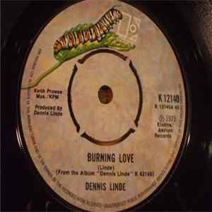 Dennis Linde - Burning Love flac