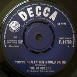 The Gamblers - You've Really Got A Hold On Me flac