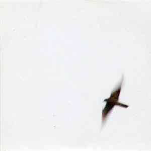 Wilco - One True Vine flac