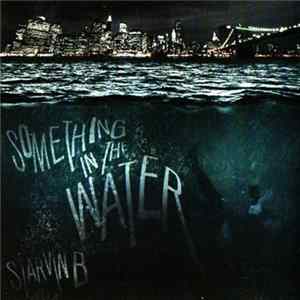 Starvin B - Something In The Water flac
