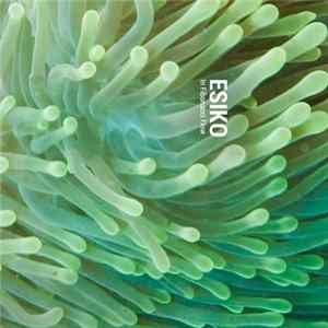 Esiko - In Fibonachi Flow flac