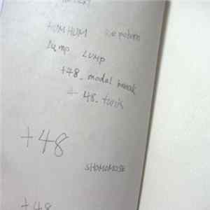 SHOMOMOSE - ​+​48 flac