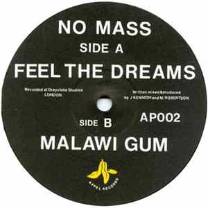 No Mass - Feel The Dreams flac