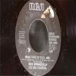 Rick Springfield - What Kind Of Fool Am I flac