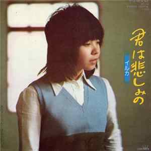 イルカ - 君は悲しみの flac