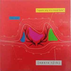Apparatjik - Square Peg In A Round Hole flac