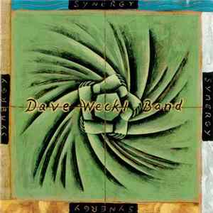 Dave Weckl Band - Synergy flac