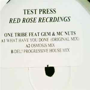 One Tribe - What Have You Done flac