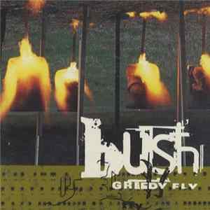 Bush - Greedy Fly flac