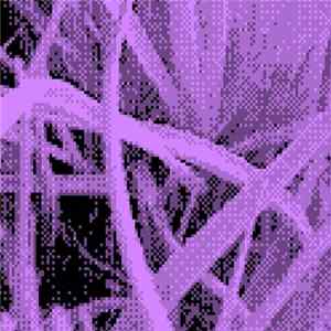 Snork25 - Otaku No Ongaku 2 flac