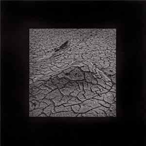 Antonio Bertoni - Terre occidentali flac