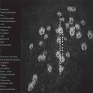 Puiset Heilat - Surrealistinen Yönäytös flac