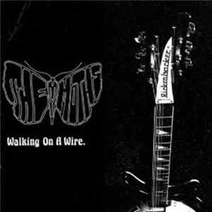 The Moths - Walking On A Wire flac