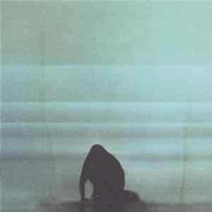 Foals - What Went Down flac