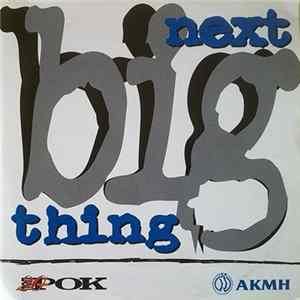 Various - Next Big Thing flac