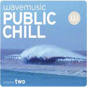 Various - Public Chill Volume Two flac
