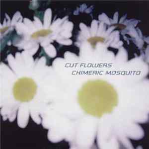 Chimeric Mosquito - Cut Flowers flac