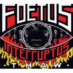 Foetus Interruptus - Thaw flac