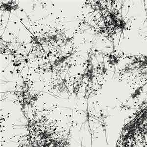 Taylor Deupree - Somi flac