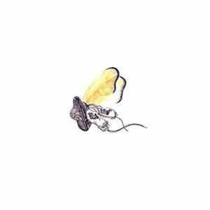 Sundrenched - Making Shapes and It Keeps Making Shapes flac