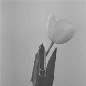 Пожар - Глупые Вещи flac