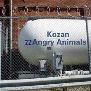 Kozan - Angry Animals flac