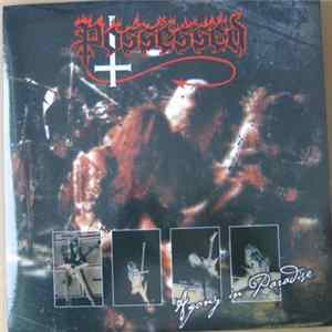 Possessed - Agony In Paradise flac